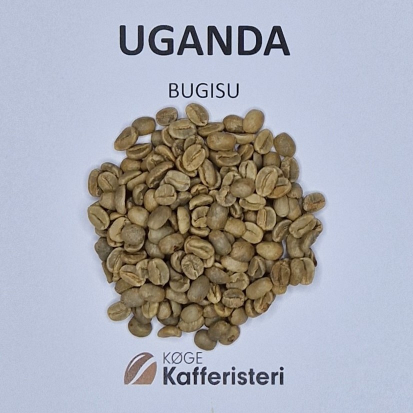Uganda Bugisu grønne bønner