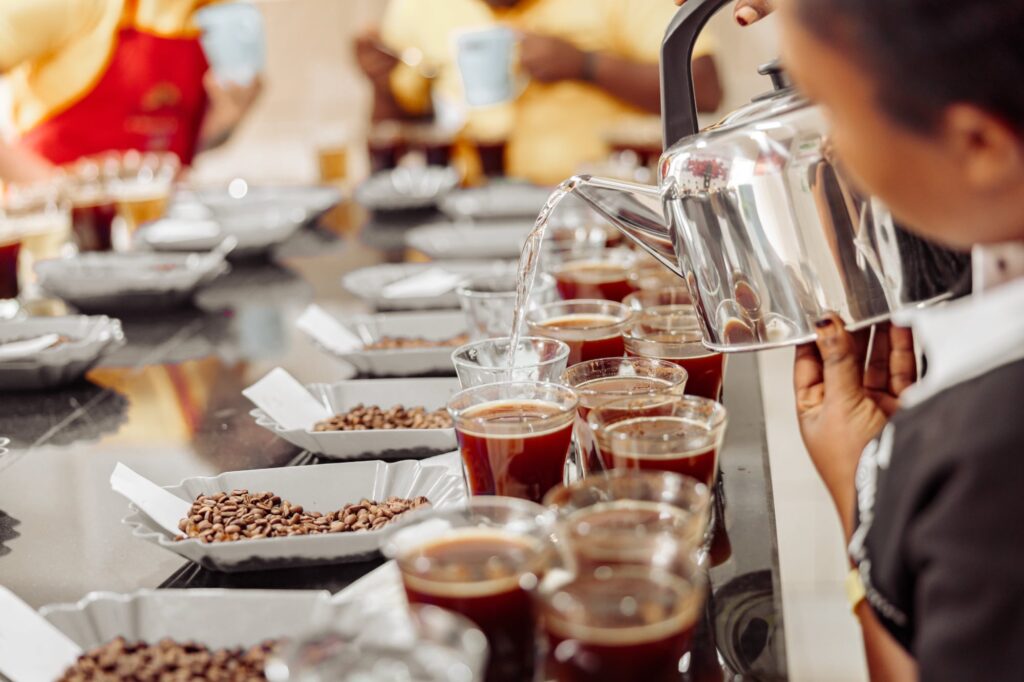 Kvindelig barista brygger kaffe i kopper til smagning.
