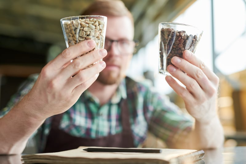 Mand sammenligner grønne og ristede kaffebønner i glas.