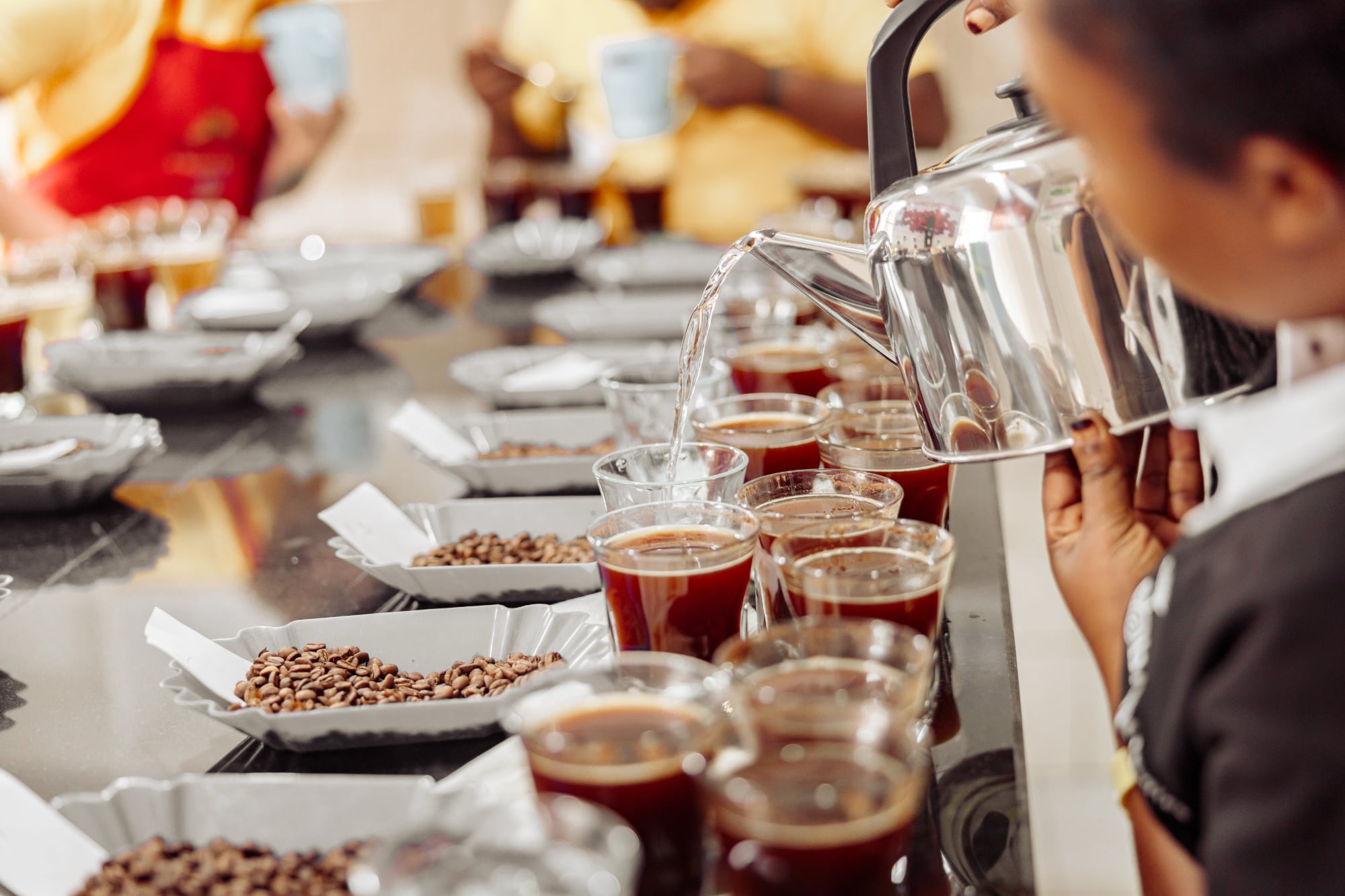 Loop En Kaffe Fra Jord til Kop: Sådan Bliver Kaffe Bedømt som Specialkaffe - Køge ...