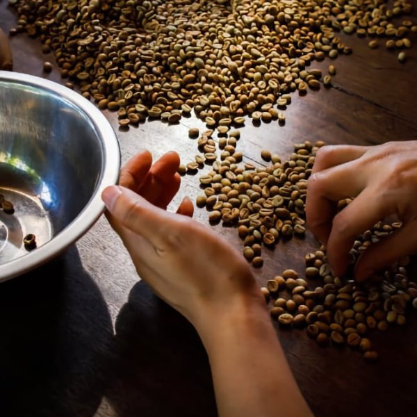 Koege Kafferisteri Hvad Er Kaffe Kvalitet 1040